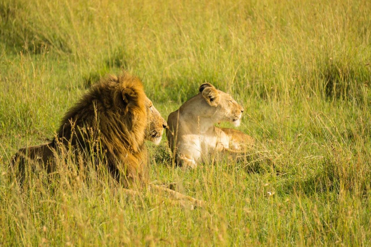 The Gir Harmony Hotel ササン・ギル エクステリア 写真